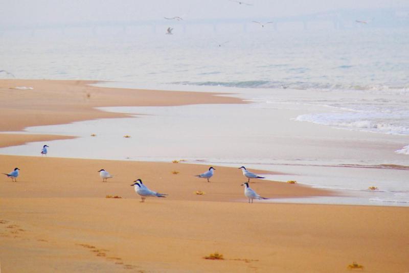 Khomba Beach House Alankuda 외부 사진