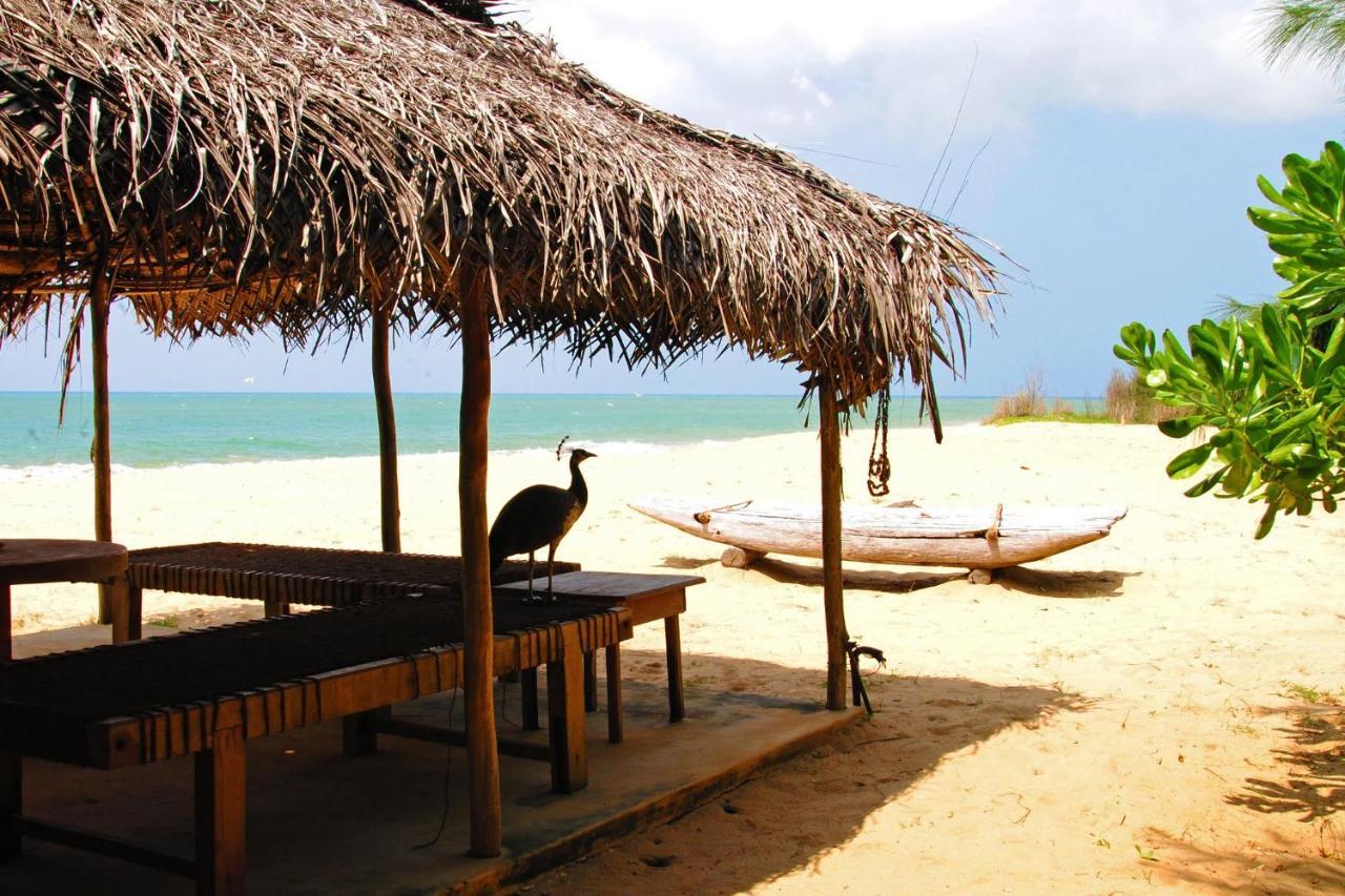 Khomba Beach House Alankuda 외부 사진